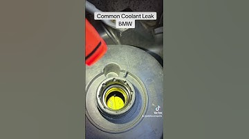Common Coolant Leak On A BMW  #diyautomaintenance #bmwengine #mechanic #diycarmaintenance #bmw