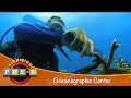 Take a Field Trip to an Oceanographic Center | KidVision Pre-K