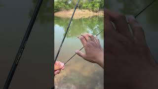 Affordable And Stylish This Is The One Check It Out Here Httpsvttiktokcomzs9lkquatnrsbq