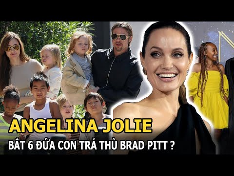 Video: Brad Pitt sẵn sàng đấu tranh vì các con