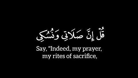 قل إن صلاتي ونسكي ومحياي ومماتي لله رب العالمين - سورة الأنعام - ياسر الدوسري - شاشة سوداء