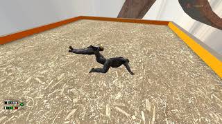 Garry's Mod! Gign ragdoll complitation!