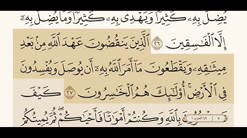 سوره البقره من آيه 25 الى 29 ياسر الدوسري