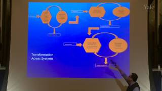 Climate and Energy at the Crossroads: Pathways to Decarbonization