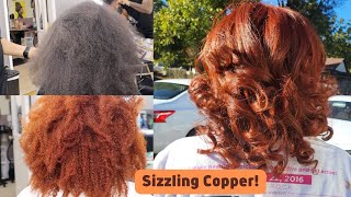 #Salonwork: From Natural Black to Sizzling Copper...With NO Bleach! | Beauty Desi