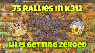 Lords Mobile - K312 making history. 75 rallies for rally party! LH family is getting zeroed screenshot 4