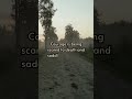Courage is being scared to death and saddling up anyway