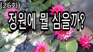 수련 키우는 방법/ 뻐꾹나리 키우는방법/ 아름다운정원꾸미기/노지월동 다년초야생화