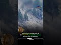 100x Zoom Surprise 😱 Leopard Spotted Watching Photographer Back! | #shorts