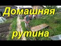 Домашняя рутина. Поездка на почту. Распаковка посылки. Застраховал автомобиль. Жизнь в провинции