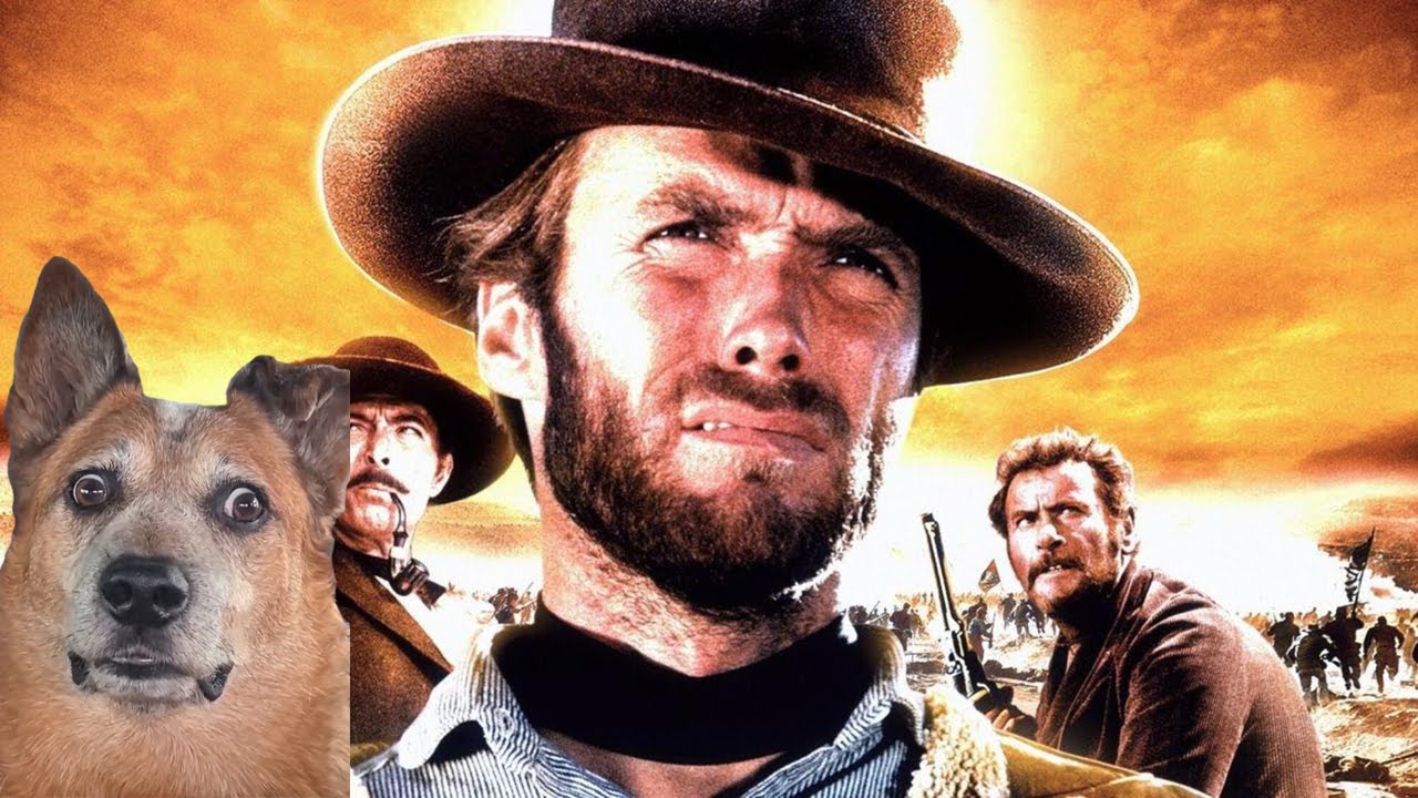 Funny Dog Video with the Good Bad, and the Ugly