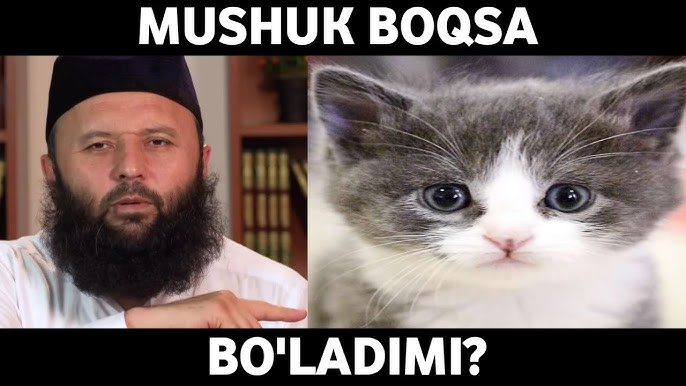 Keng sonli ayollar Tibbiy lateks qolqoplarda jinsiy aloqa