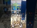Video Image