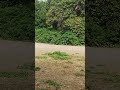 300skullsandcounting, "._X" (Ep, 2026) - Nintendocore, crunckcore; EQ, "EQ" (Ep, 2025) electroclash