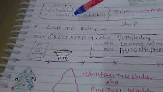 IVP 2