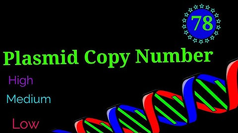 Plasmid Copy Number: Low, Medium & High Copy Number Plasmids Explained @EnteMicrobialWorld
