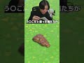 う〇この化石じゃない可能性www ＃あつもり ＃ゲーム実況 #シャオメイ ＃マイクラ