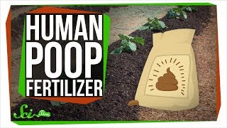 What Happens If You Use Your Feces as Fertilizer?