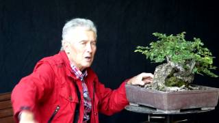 INTERNATIONAL BONSAI ACADEMY with Walter Pall 2013 - Case Study 9/ Fairy Tale Style