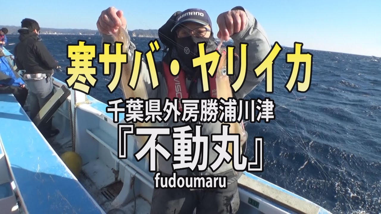 不動丸 千葉県勝浦川津港 極旨の共演 寒サバ ヤリイカリレー釣り Youtube