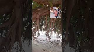 payar ha ki pipara ke bhut @KhusabuSingh-c6b