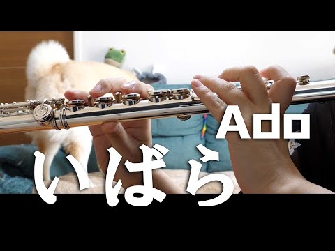 【フルート】いばら/Ado 作詞作曲：Vaundy【演奏してみた】FLUTE