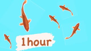 CAT GAMES - 🐟 CATCHING FISH 1 HOUR VERSION (VIDEOS FOR CATS TO WATCH)