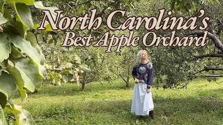 Visiting My First Apple Orchard! | Ultimate Cozy Fall Vlog