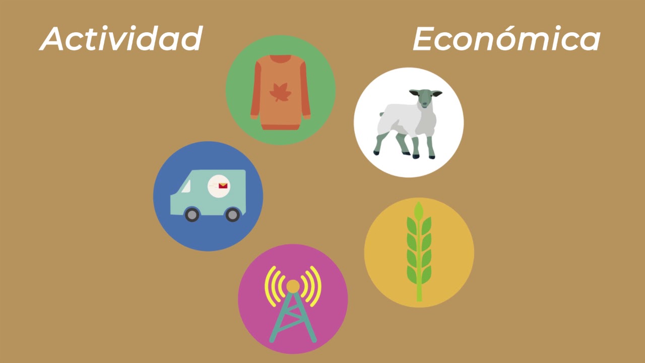  Qu Es La Econom a Social YouTube