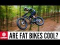 Are Fat Bikes Cool?