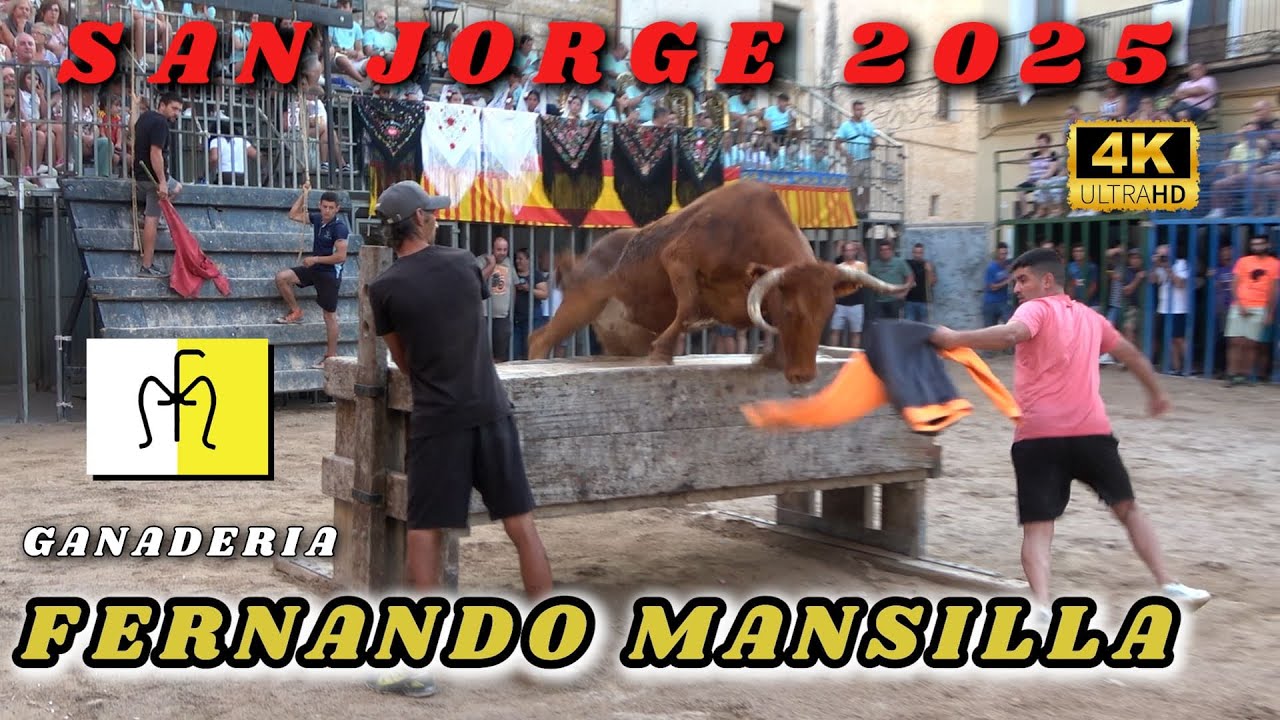 🔝💯BUENA TARDE DE VACAS Y TORO DE FERNANDO MANSILLA