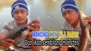 Mancing Ikan Nila Babon Dan ikan Sembilang Monster Bikin Gemetaran Coba Coba Spot mancing