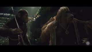 Kingdom of the Planet of the apes(2024) Noa and Raka