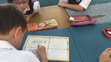 Classroom Investigation 3