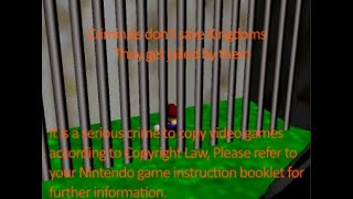 Super Mario 64 Anti Piracy Screen