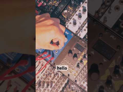 Analog delays. Yay or nay? 😏 #eurorack #analogsynth #synthesizers #synth #synths