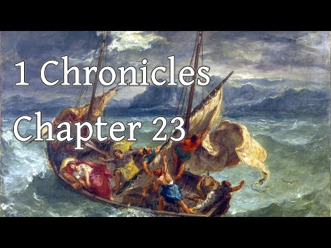 The First Book of Chronicles - 23