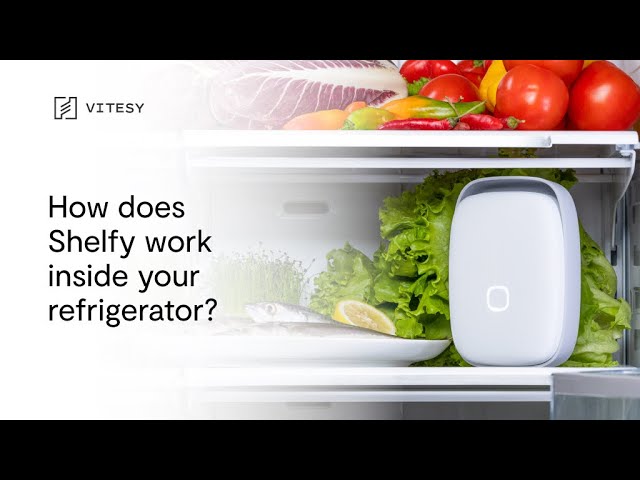 How does Shelfy work inside your refrigerator? 
