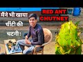 FIRST TIME EATING RED ANT CHUTNEY | FAMOUS TRIBAL INDIAN FOOD AT BASTAR CHHATTISGARH |चींटी की चटनी