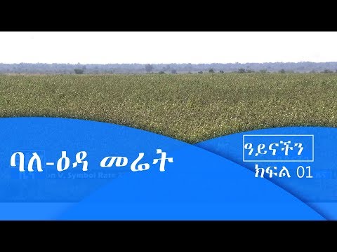 ቪዲዮ: ራሱን የቻለ ባለ ሁለትዮሽ