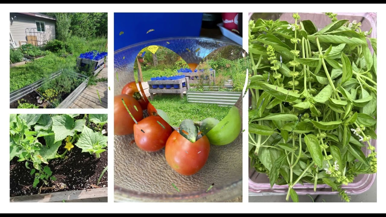 Magnetawan First Nation Department of Lands 2025 Community Garden & Pollinator Projects