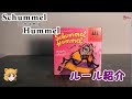 【ボドゲ】SchummelHummel（いかさま虫）　ルール説明！