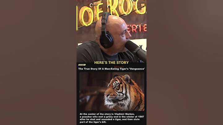 Rogan: Tiger Systematically Hunted a Man for Revenge