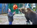 Папа и подарок. Или папа-подарок? 🐻🎁/Bear Mansur