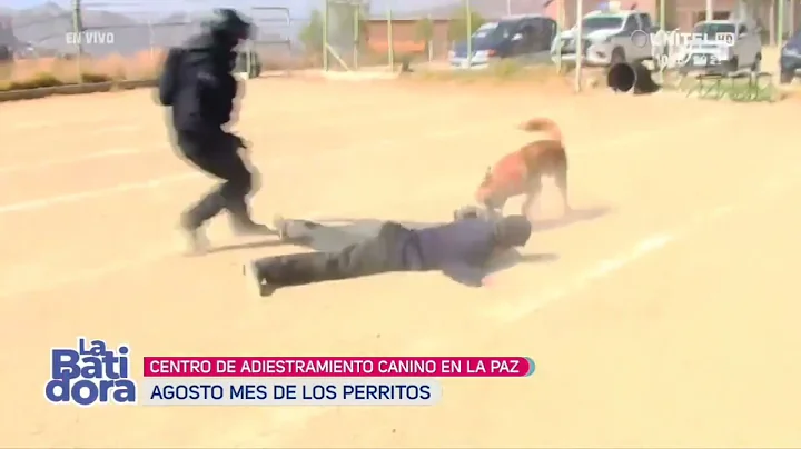 Centro de adiestramiento de Canes #lapaz #turismo #bolivia #perros #policia