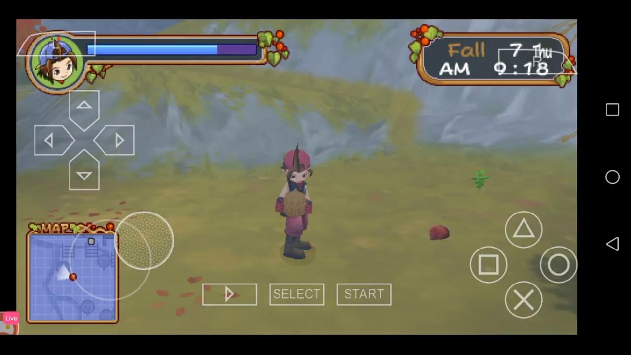 Ocarina Performance! Harvest Moon HoLV Live 19 YouTube