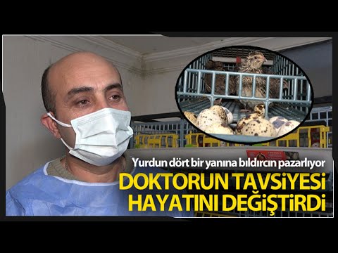 Video: Bıldırcın kuşu: açıklama, yaşam tarzı, dağıtım