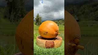 Expert Technique, Italian Coconut Version