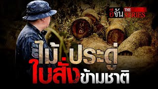 ไม้ประดู่ ใบสั่ง ขบวนการค้าไม้ข้ามชาติ | อีจัน The Series