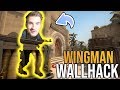 GRAMY W CS:GO Z WALLHACKIEM!